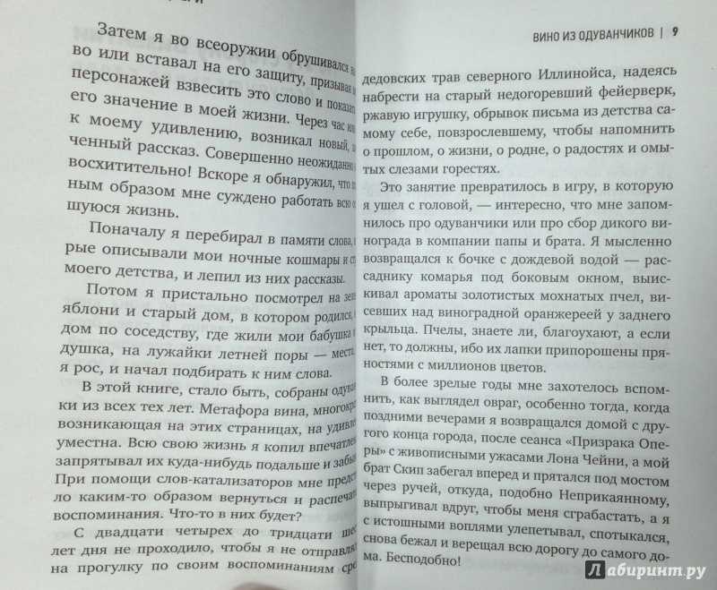 Краткое содержание повести «вино из одуванчиков»