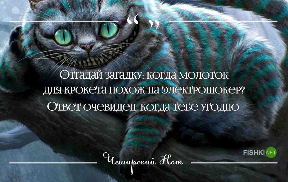 40 цитат алисы в стране чудес, чтобы отправить вас в кроличью нору