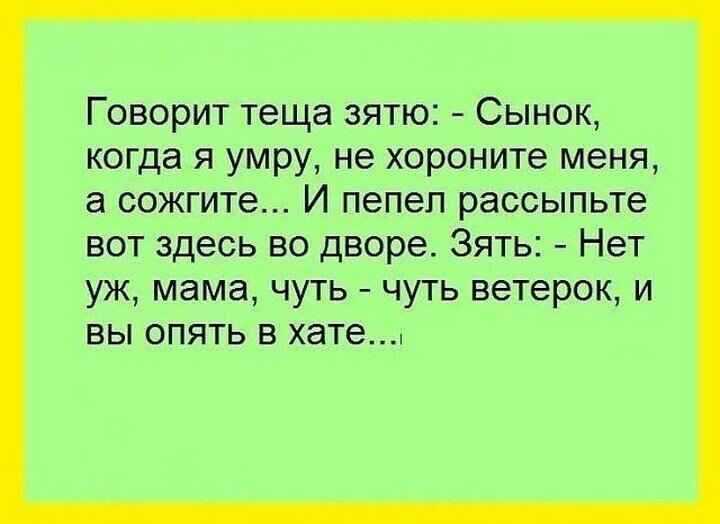 Приколы про тещу и зятя прикольные короткие. анекдоты про тещу и зятя смешные до слез