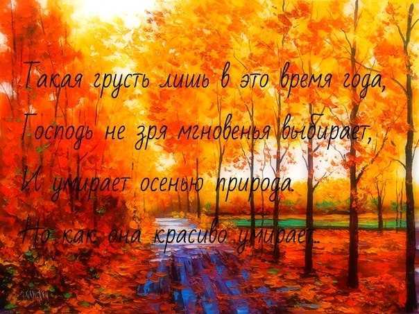 Цитаты про лес
