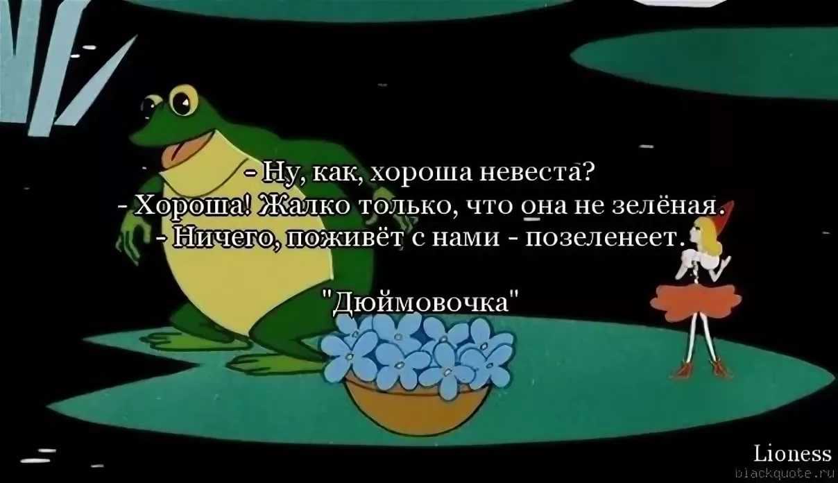 Цитата из мультфильма Дюймовочка