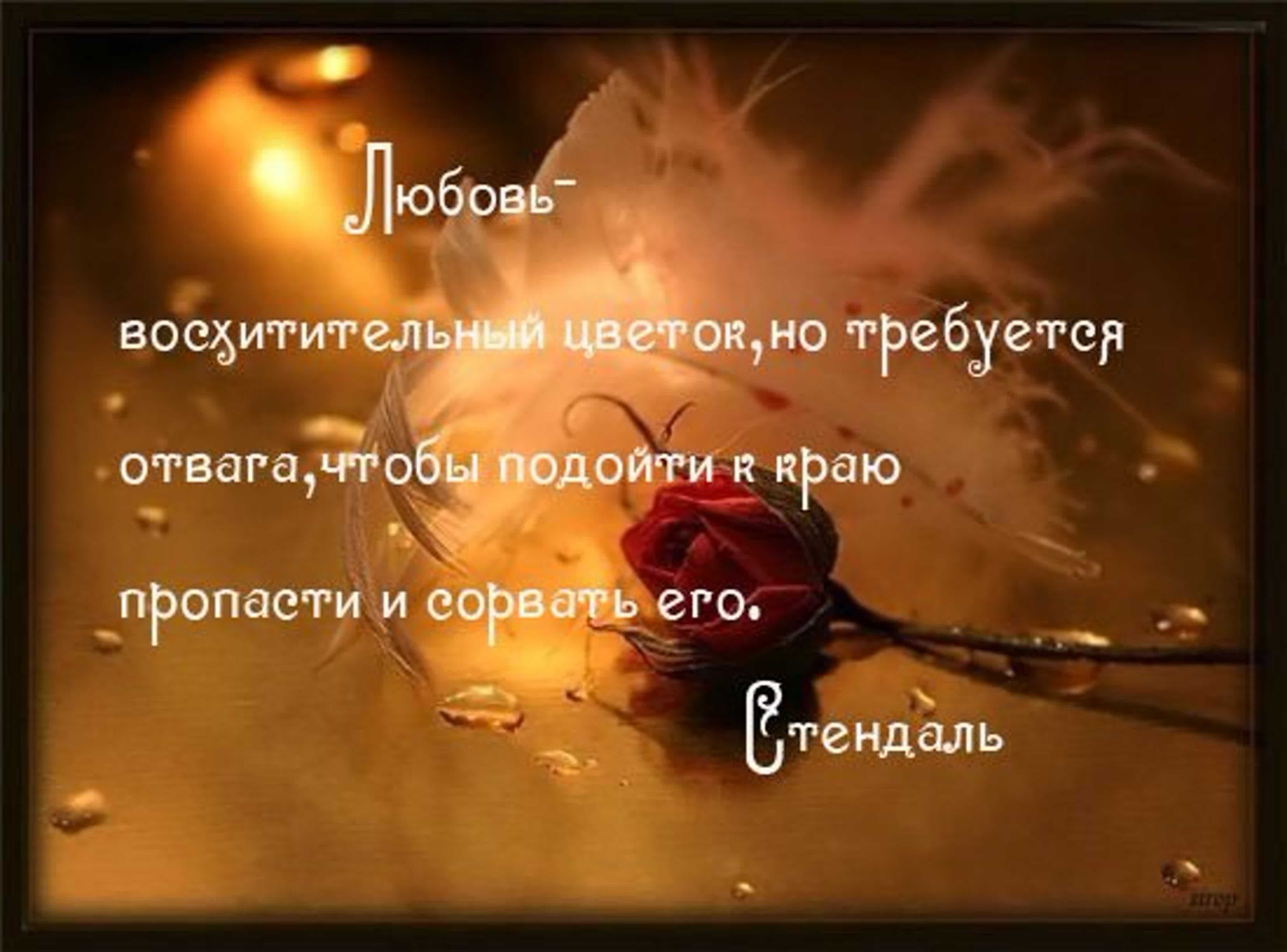 Красивые цитаты про любовь со смыслом (114 шт 💖) с картинками