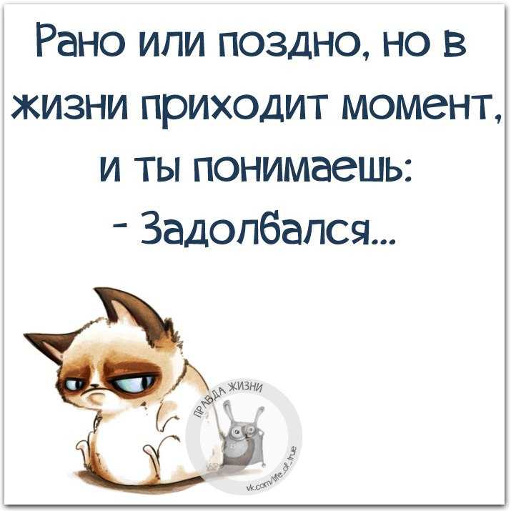 Лучшие цитаты про жизнь со смыслом: 100+ лучших цитат