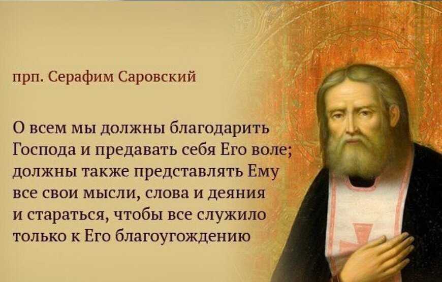 50 лучших цитат про учителей – статусы, афоризмы и прочие извечения