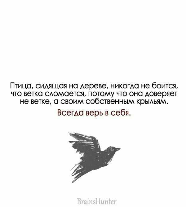 Лучшие цитаты про жизнь со смыслом: 100+ лучших цитат