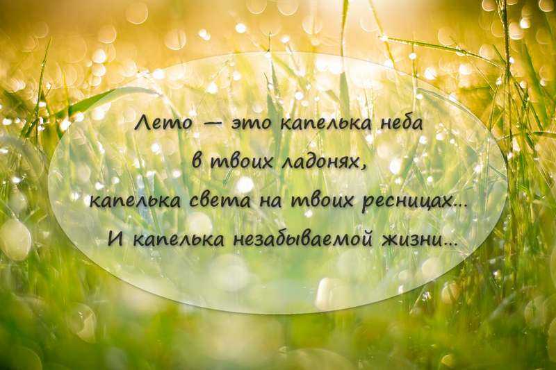 Статусы про лето