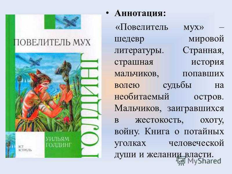 Краткое содержание «повелитель мух»