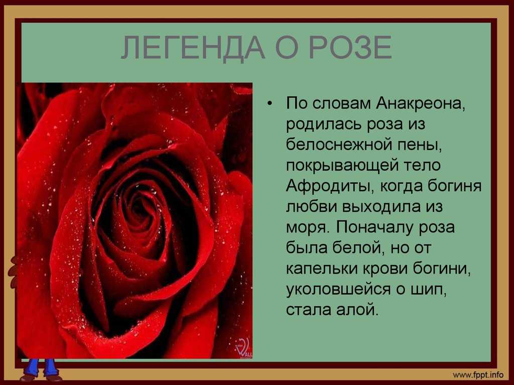 Более 500 цитат для instagram: топ самых лучших