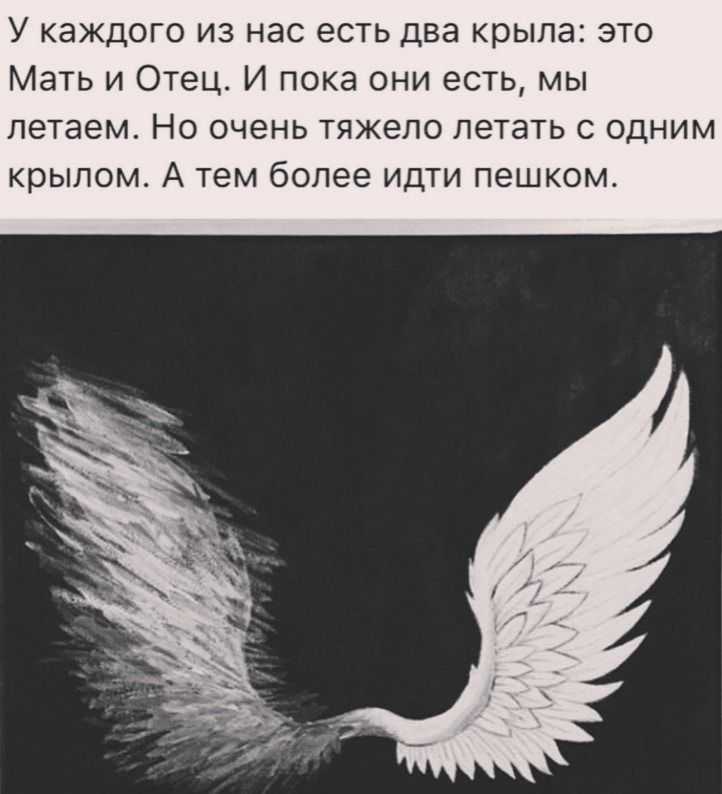 Цитаты на тему «орел»