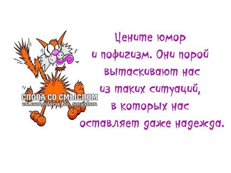 50 лучших цитат со всего мира для жизни