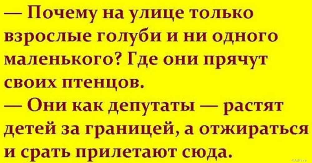 Сборник ★ перед законом и после закона. анекдоты про депутатов читать книгу онлайн бесплатно