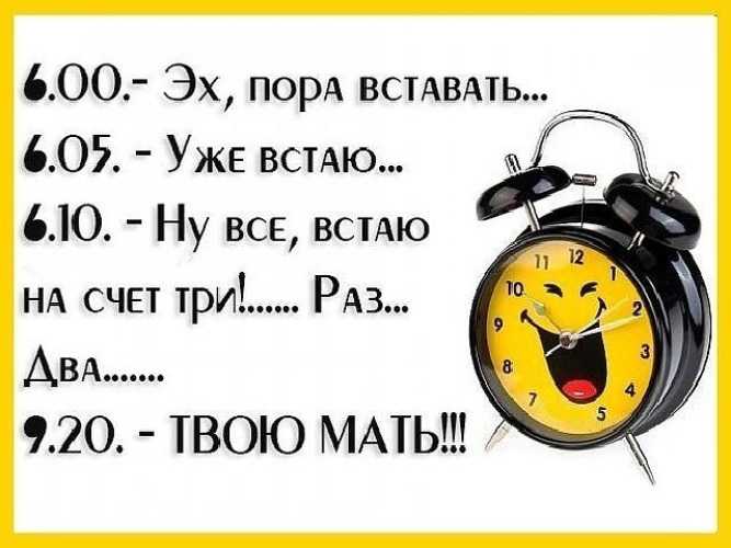 Цитаты и статусы про утро (прикольные, про доброе утро, кофе, смешные и др)