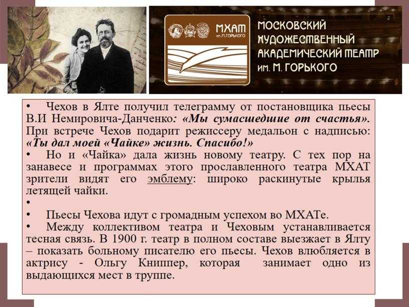 Чайка