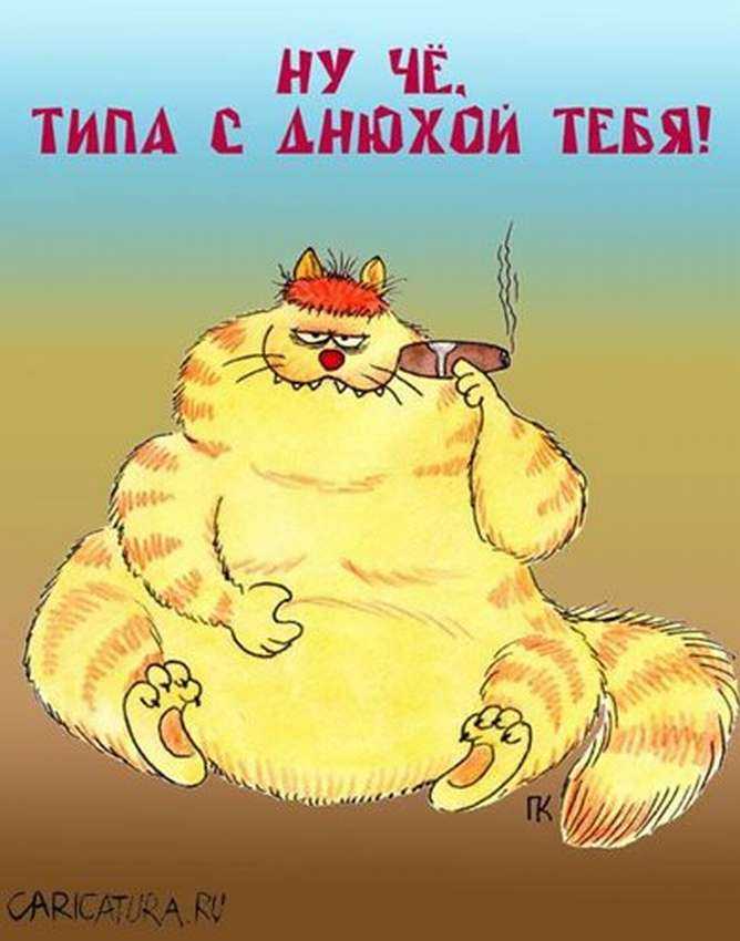 Прикольные открытки и поздравления с днем рождения мужчине