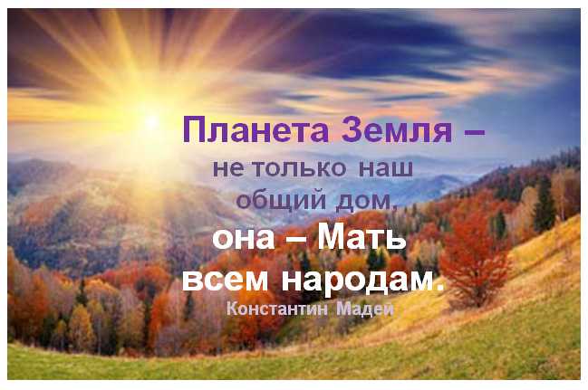Цитаты писателей о жизни