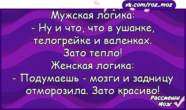 Шутки про женскую логику — жизненные статусы