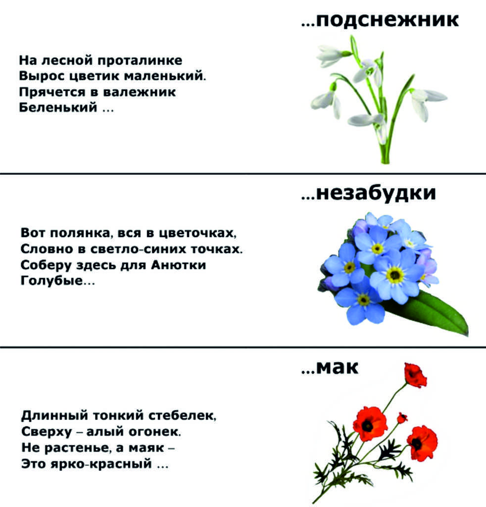 Загадки про цветы для детей с ответами - праздник сам