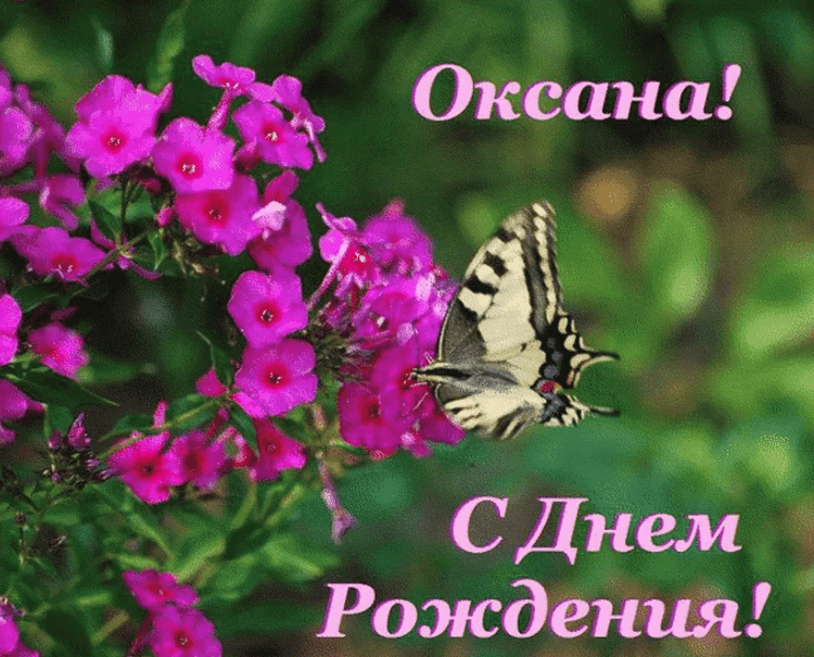 Поздравления с днем рождения женщине оксане красивые открытки