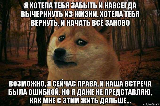 Наша встреча была ошибкой мультик - помощник в исправлении ошибок