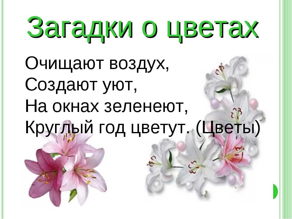 Загадки о растениях с ответами, 1 класс