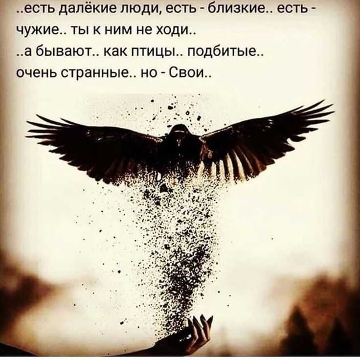 50 лучших цитат со всего мира для жизни