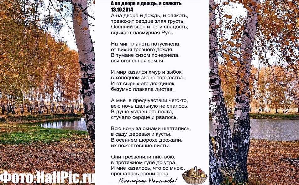 Цитаты, афоризмы и статусы про дождь (смешные, грусные, о любви и настроении в тч)