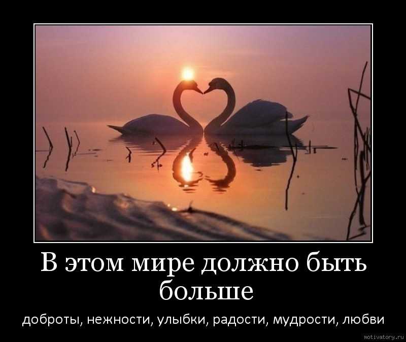 Цитаты о мире на земле без войны. цитаты про мир и мироздание