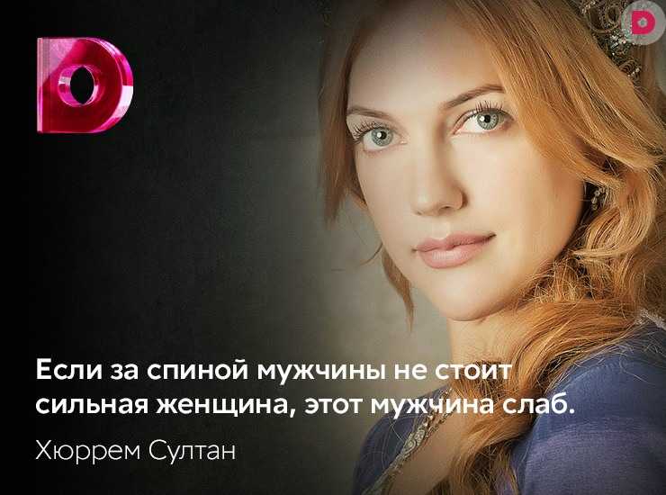 Мудрые слова великого султана сулеймана: цитаты, афоризмы и интересные факты