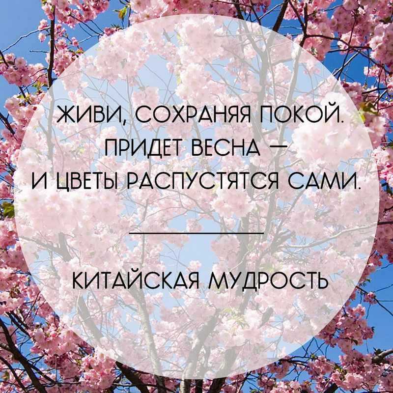 Цитаты про позднюю весну. весна - новая жизнь