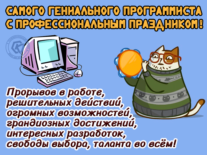 День программиста