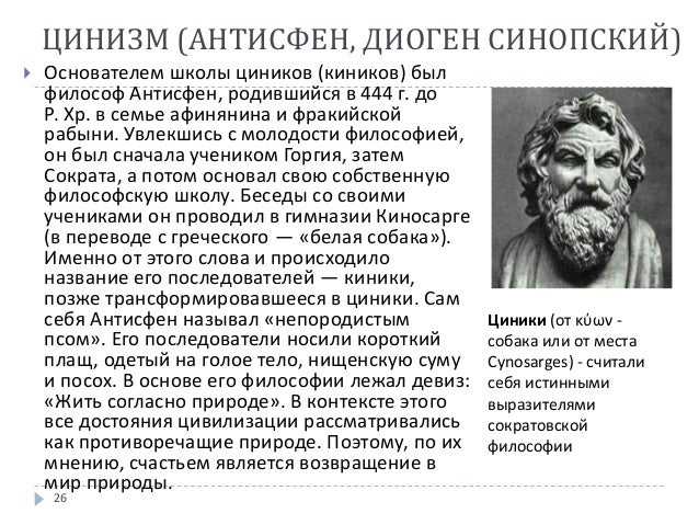 50 цитат диогена синопского, которые заставят вас задуматься - жизнь - 2023
