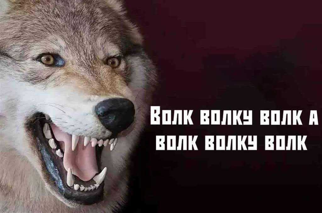 50 лучших цитат со всего мира для жизни со смыслом