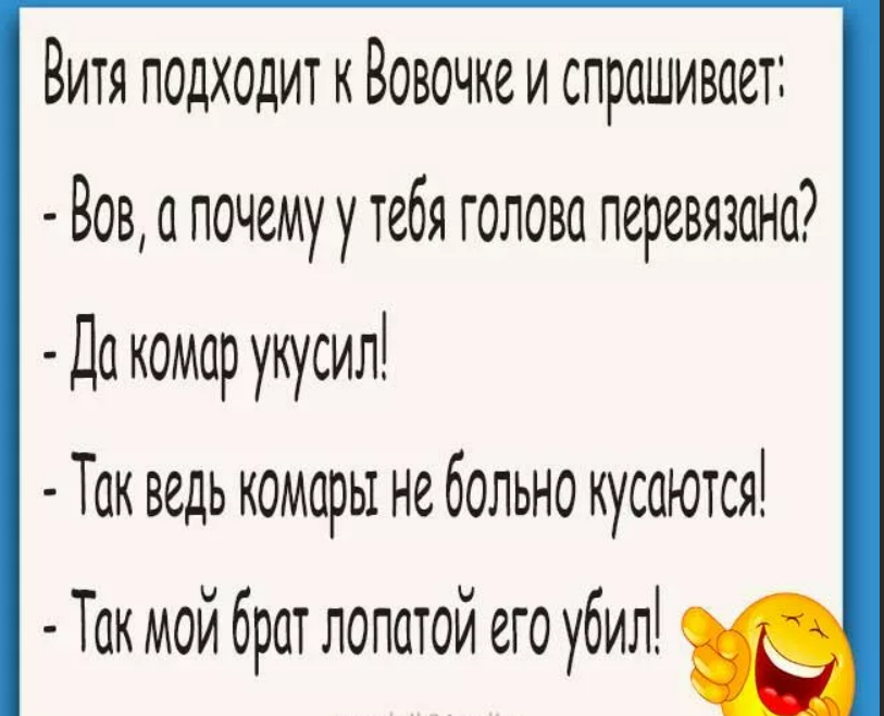 Анекдоты про вовочку: новые самые смешные до слез