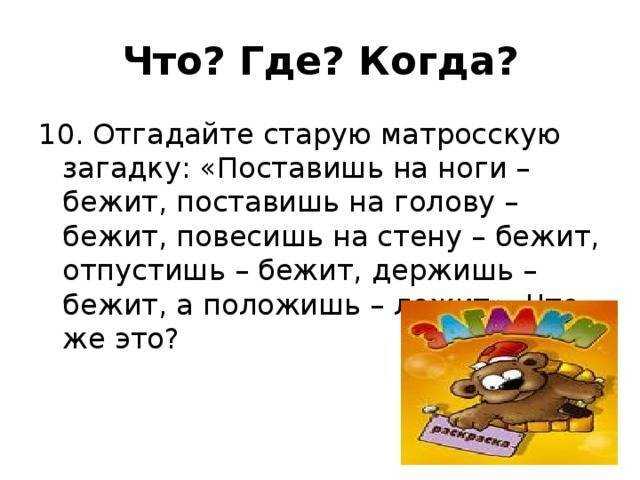 Лучшие вопросы «что? где? когда?» | блог 4brain