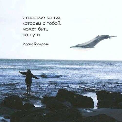 170 коротких цитат про свободу человека: со смыслом, красивые