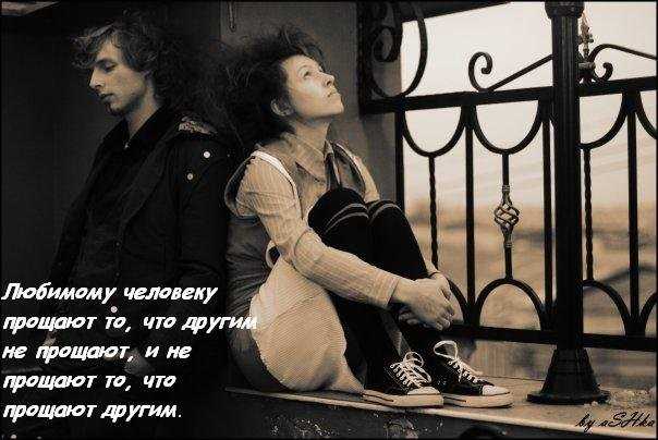Прикольные фразы для попугая