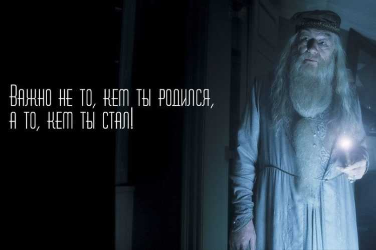 100+ albus dumbledore quotes in harry potter and the half-blood prince (2009)