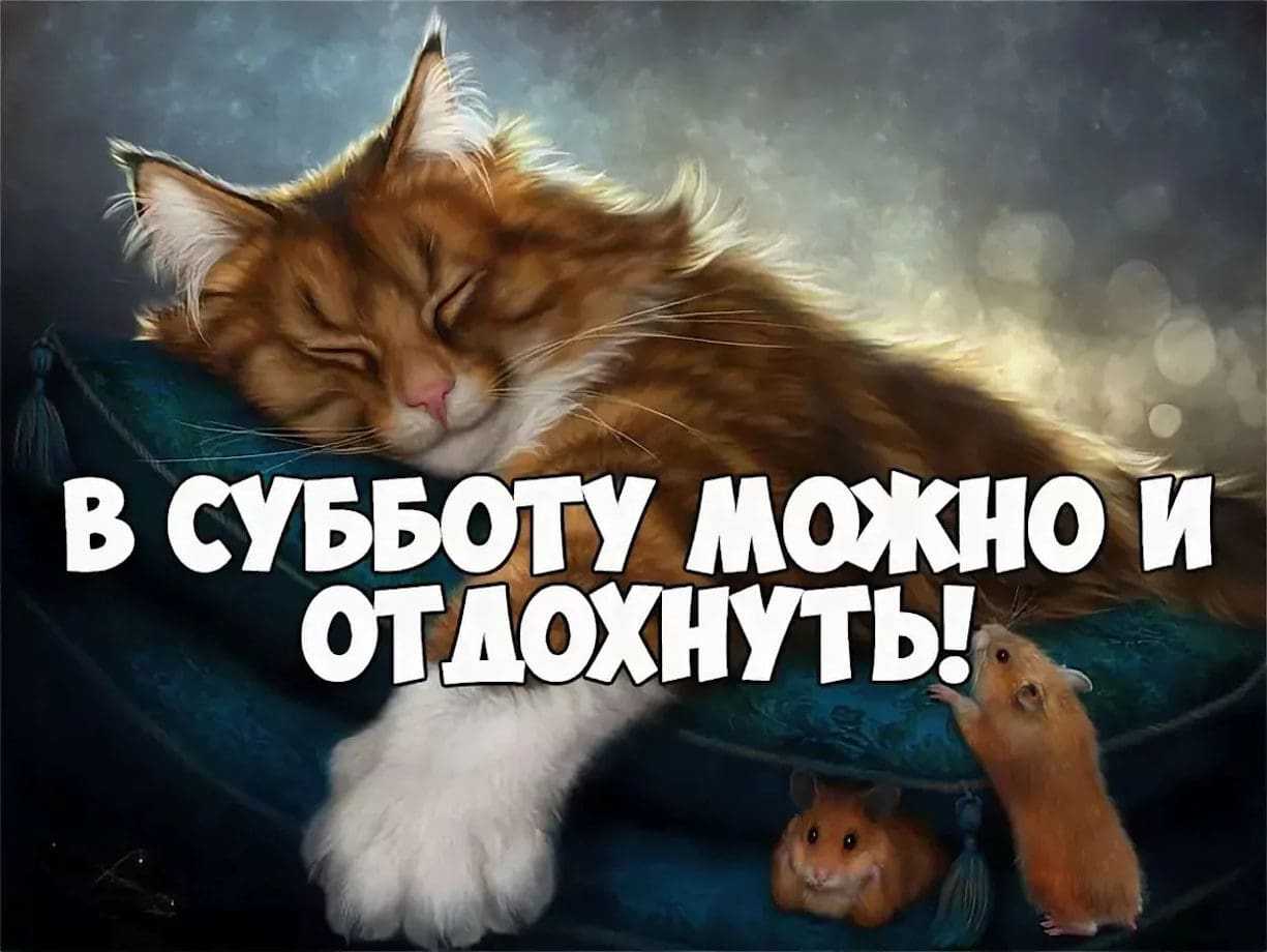 Прикольные статусы про субботу