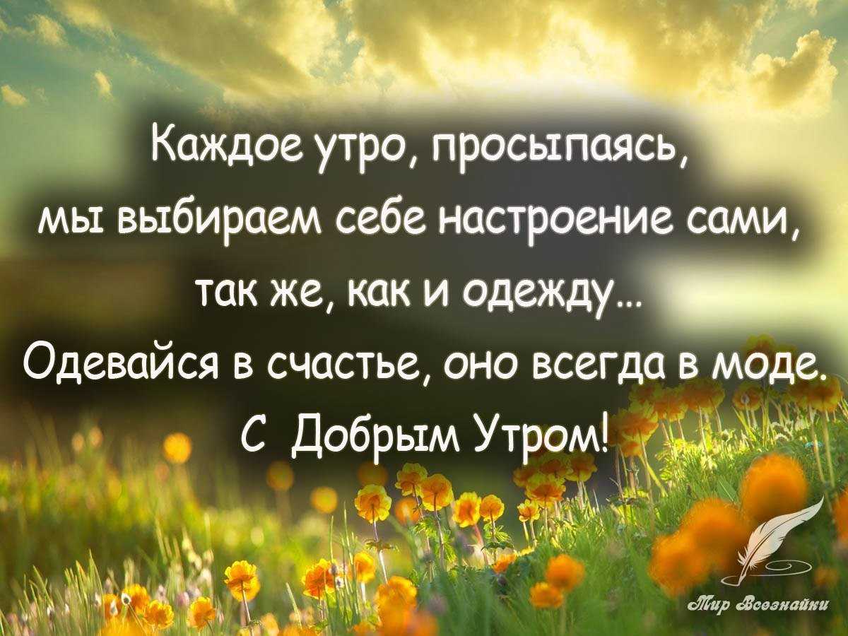 Прикольные высказывания про настроение — шутки юмора