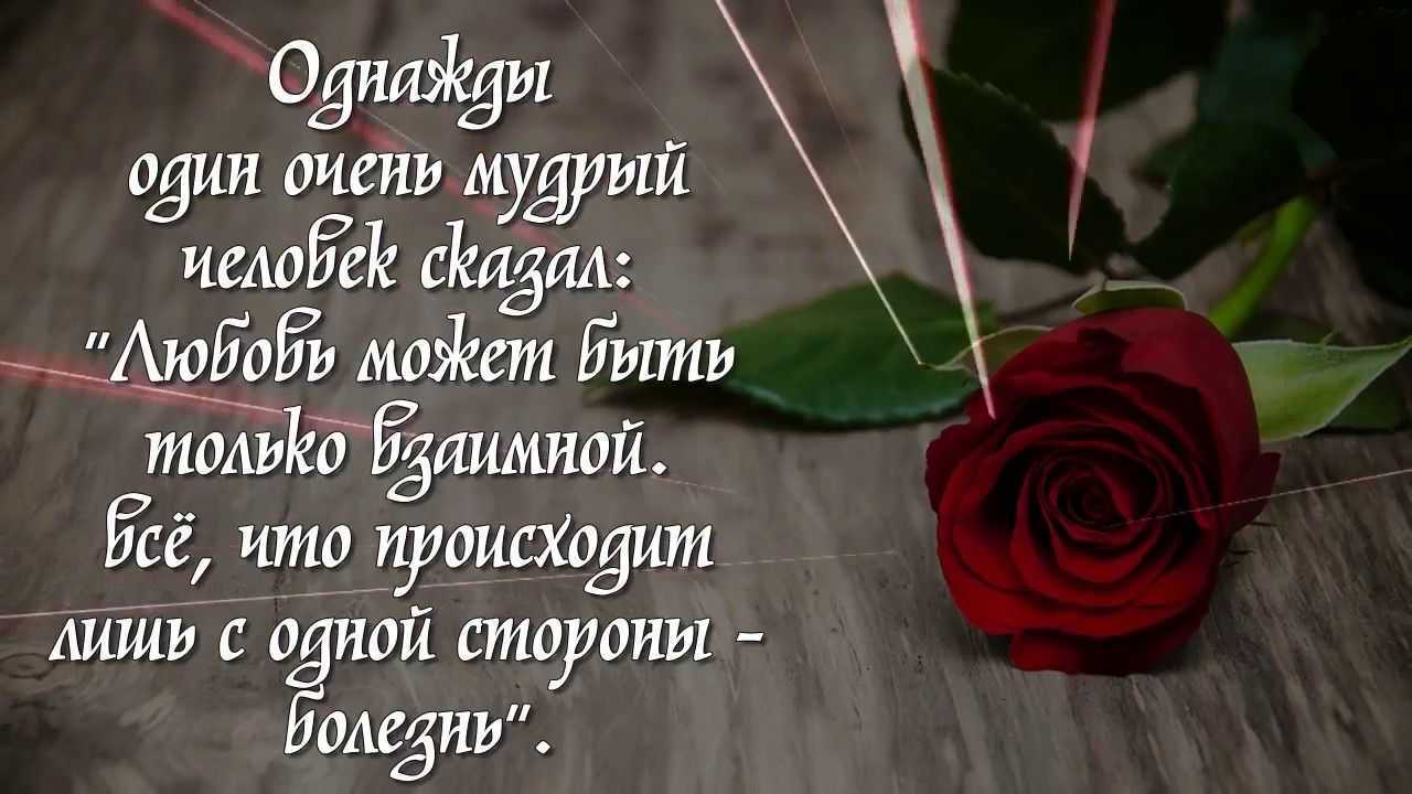 Цитаты про любовь и отношения со смыслом