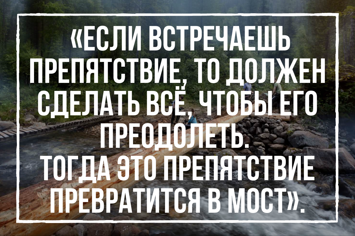 210 красивых фраз про волю: мудрые цитаты, философские высказывания, статусы, афоризмы со смыслом о воле, ее силе и значении