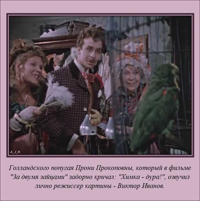 26 цитат из фильма За двумя зайцами 1961 Интересные цитаты и высказывания персонажей
