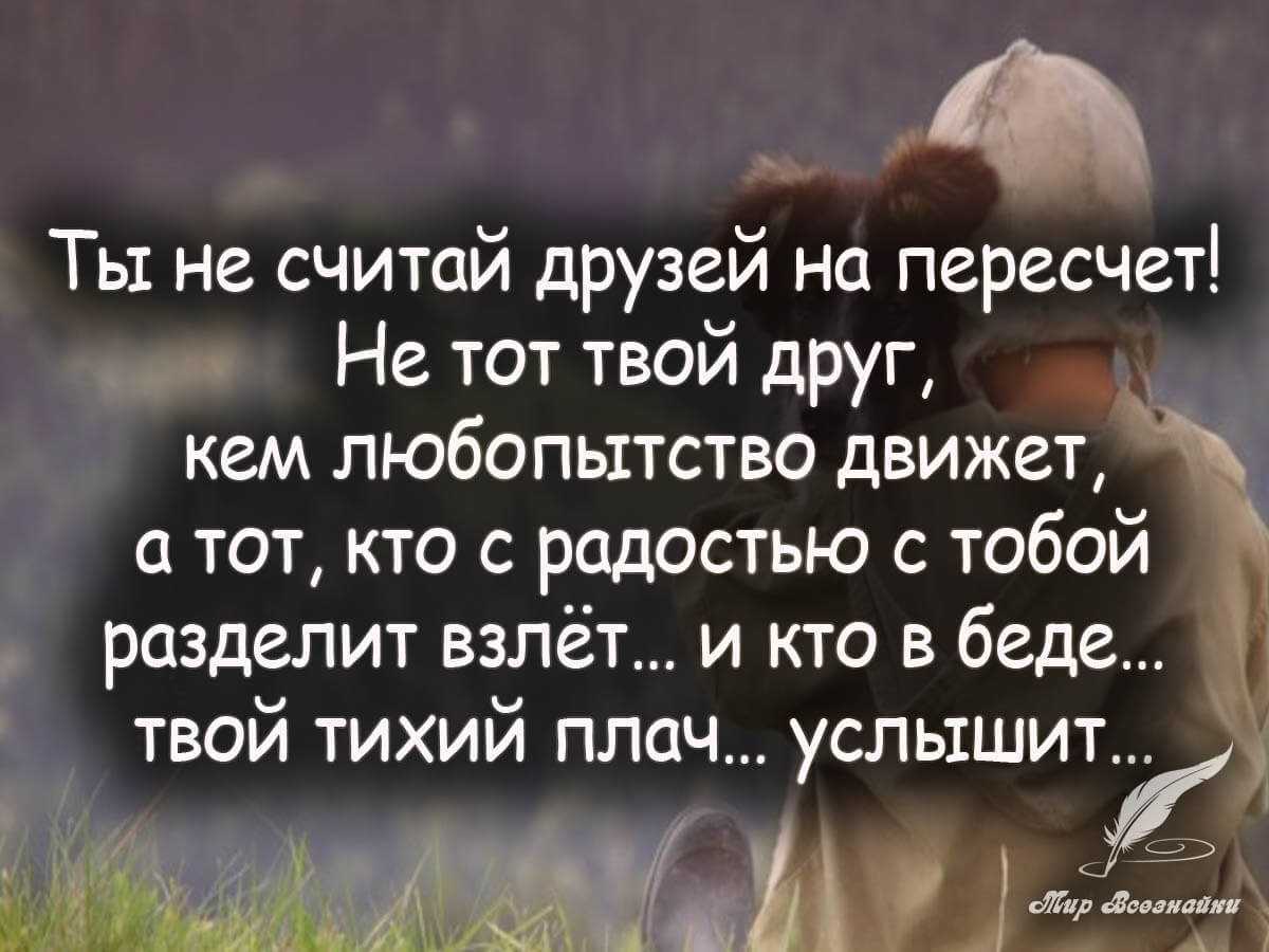 Цитаты про дружбу – высказывания, афоризмы, короткие цитаты