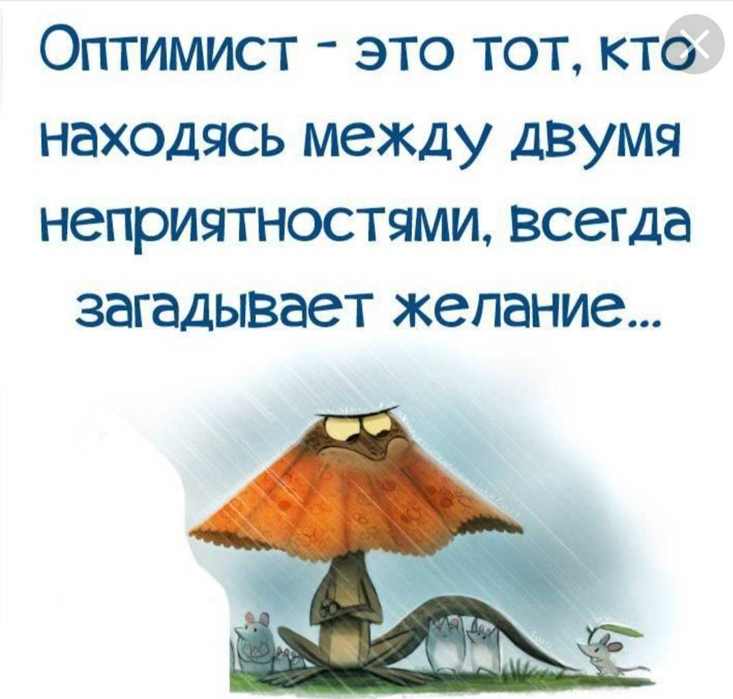 Смех продлевает жизнь: цитаты и афоризмы про смех, юмор и улыбку