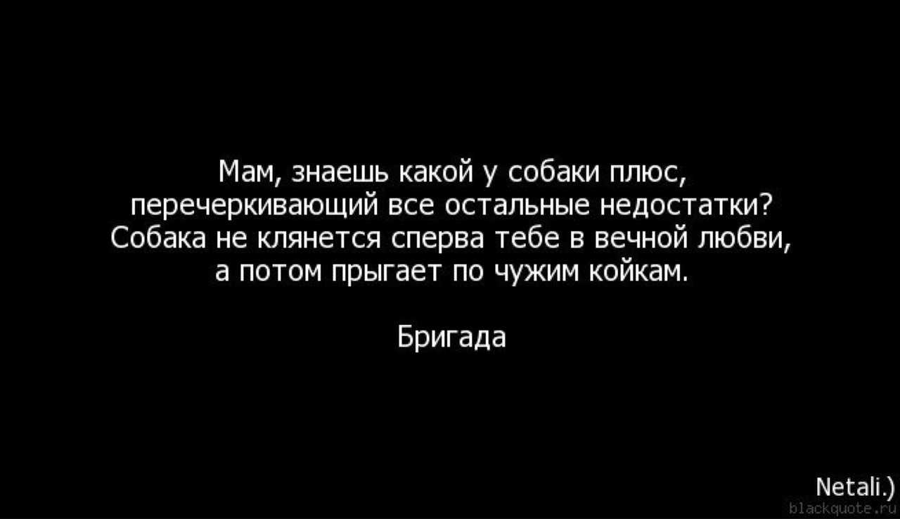 И знаешь мам какой самый плюс у собаки — сайт эксперта по животным — howmeow
