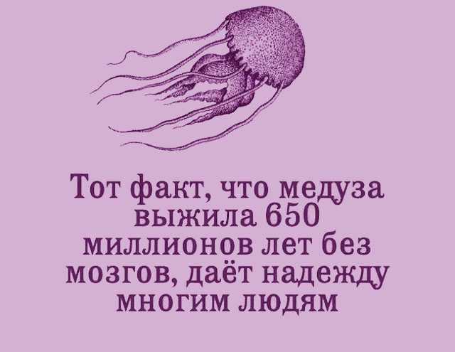 Цитаты великих людей: топ-250 вдохновляющих высказываний