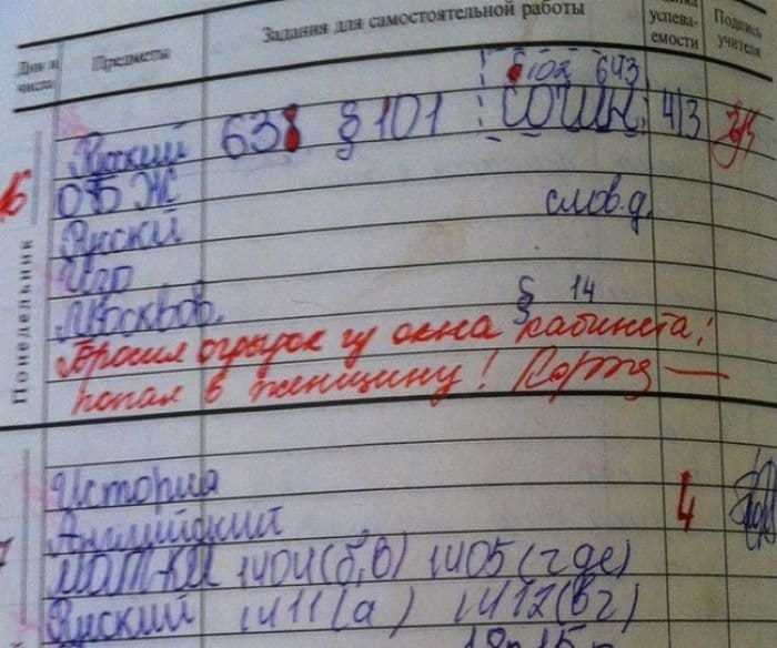Записи в дневниках.