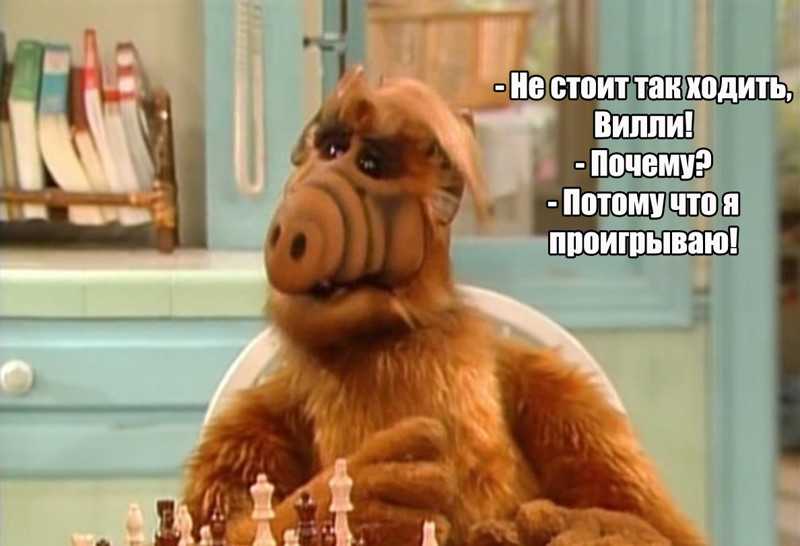 Alf