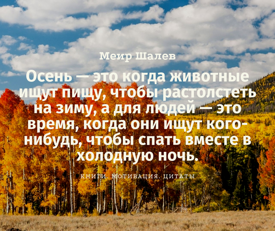 Самые лучшие статусы про осень и кофе. цитаты про кофе