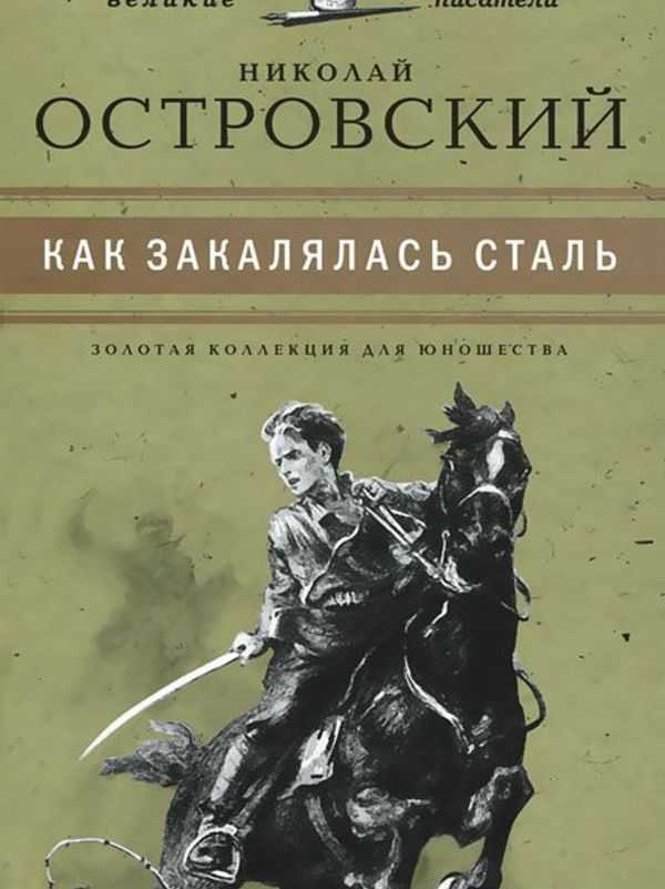 Смысл книги как закалялась сталь | какой смысл